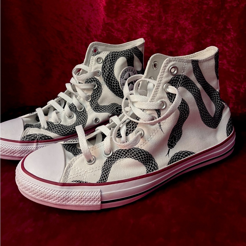 Snake Converse